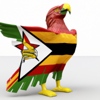 Eagle wearing the Zimbabwean flag