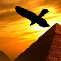 flying eagle above the pyramids in a sunset